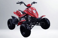 BS110S-7 und Sonstige 110cc's