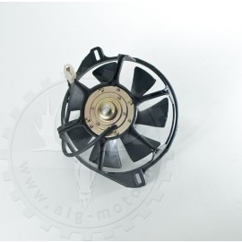 Fan Shineray XY300STE