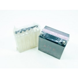 Battery YTX14-BS