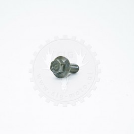 Bolt M6x25