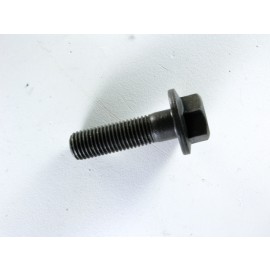 Rotor bolt