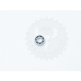 Bearing water pump 6000/P6
