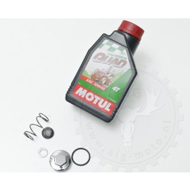 Bashan-quad-Maintenance set for serveral ATV 150-250cc