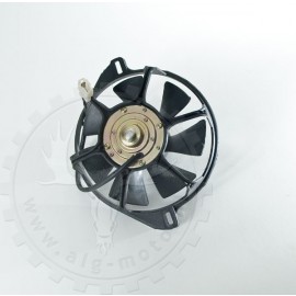 Fan Shineray 250STXE